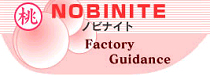 Factory Guidance